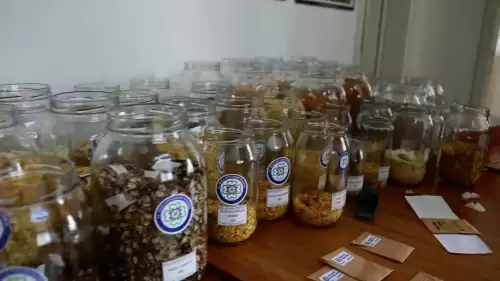 22 Milyon Yerel Tohum Toprakla Buluştu