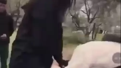 Muğla Yatağan'da Akran Şiddeti Skandalı! 13 Yaşındaki Öğrenci Ağır Şekilde Dövüldü, Şüpheliler Gözaltına Alındı.