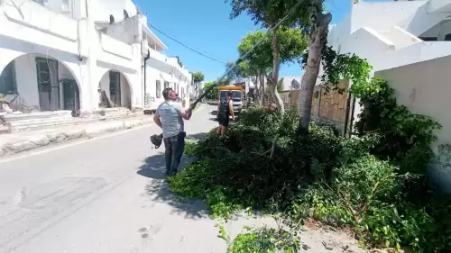 Bodrum Belediyesi Kurban Bayramı Öncesi 56 Mahallede Temizlik ve Budama Seferberliği Başlattı
