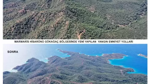 Gökağaç’ta 5 Km Yangın Emniyet Şeridiyle Orman Yangınlarına Karşı Güçlü Önlem