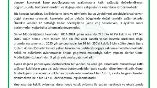 Kene ile Mücadelede Keklik ve Sülünler Doğaya Salınıyor