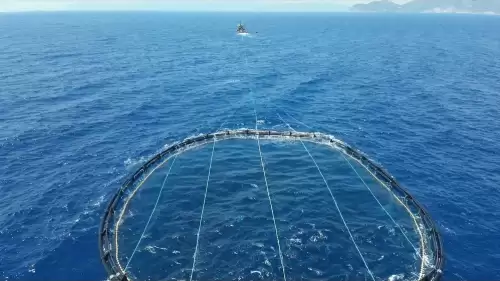 Karasularda Orkinos Denetimi: 2.666 Balıkta Yasal Sorun Bulunmadı
