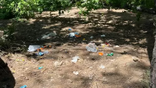 Yalancı Boğaz’da Çevre Alarmı: Atıklar Ormanı Esir Aldı