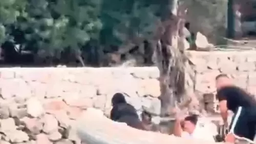 Bozburun’da Teknede Dehşet: Genç Kaptan Arda Öldürüldü
