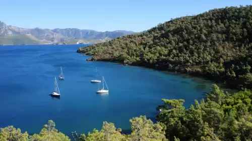 26 Şehir Arasından Seçildi! Marmaris, Avrupa’nın Yeşil Öncüleri Arasında