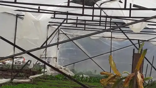 Marmaris’te Seralar Fırtınaya Dayanamadı: Hasar Büyük