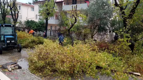 Marmaris’te Yeşil Alanlar Bahara Hazırlanıyor