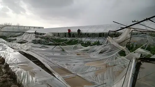 Dolu ve Fırtına Seraları Vurdu, Yetkililer Sahaya İndi
