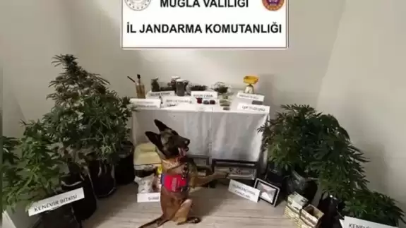 Evini uyuşturucu imalathanesine çeviren şüpheli tutuklandı