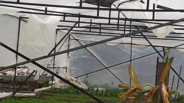 Marmaris’te Seralar Fırtınaya Dayanamadı: Hasar Büyük