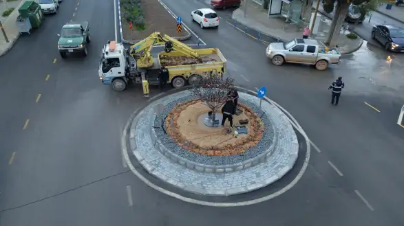 Bodrum’da Trafiği Rahatlatan Dokunuş: Mandalin Ağacı Detayı Dikkat Çekti