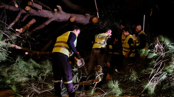 Fırtına Bodrum’u Vurdu: Devrilen Ağaçlar, Kopan Teller, Anında Müdahale