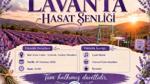 Muğla'da Lavanta Hasat Şenliği İçin Geri Sayım Başladı
