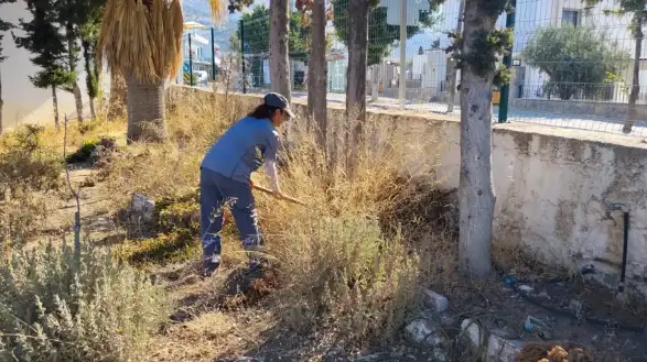 Bodrum’da 400 Bini Aştı! Ekipler Durmadan Çalışıyor
