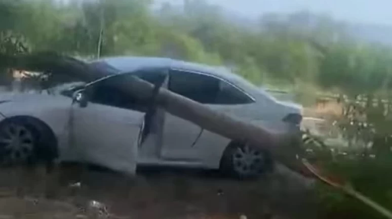 Gökova’da radar aracının üzerine ağaç devrildi