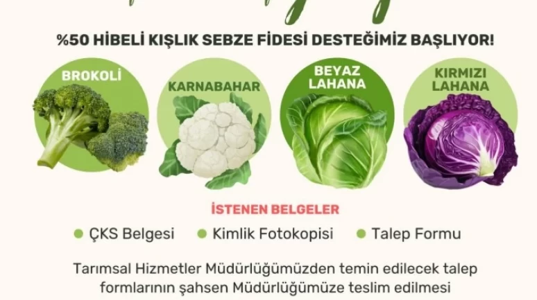 Milas’ta Üreticilere Yüzde 50 Hibeli Kışlık Sebze Fidesi Desteği