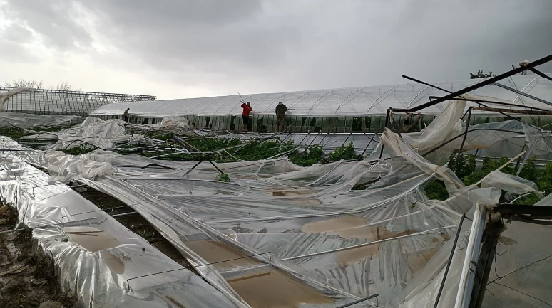 Dolu ve Fırtına Seraları Vurdu, Yetkililer Sahaya İndi