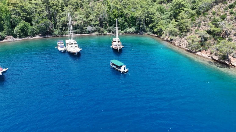 Bilimsel Rapor Yok, Plan Askıda: Danıştay’dan Net Mesaj