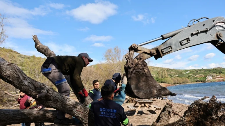Fırtına Sonrası 176 Noktada Ağaçlara Müdahale Edildi