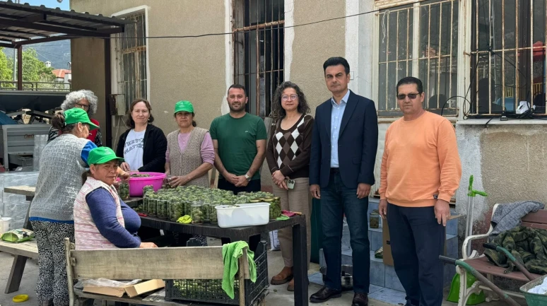 Sadece Bir Turşu Değil! Datça’dan Dünyaya Uzanan Başarı Hikâyesi