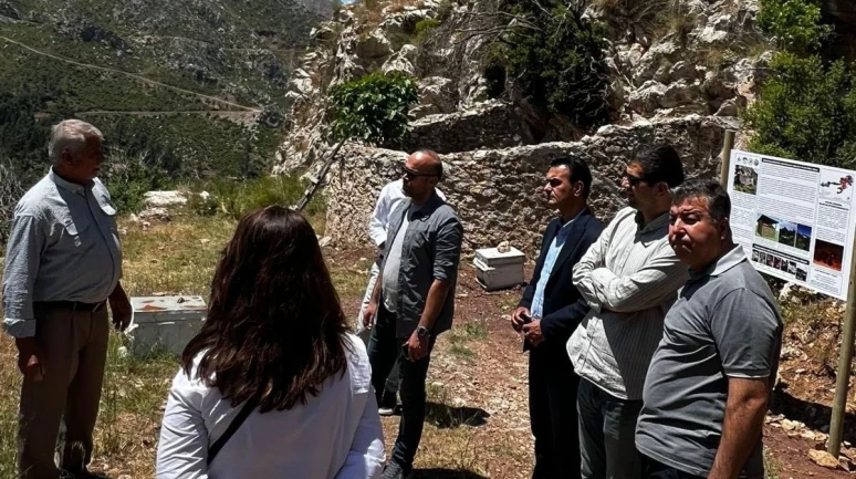 Osmaniye’de Tarihi Arı Avlusu Yerinde İncelendi