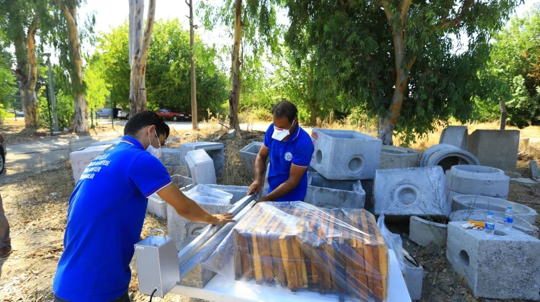 Muğla’da Arıcıları Sevindiren Proje! 236 Bin Petek Şoklandı