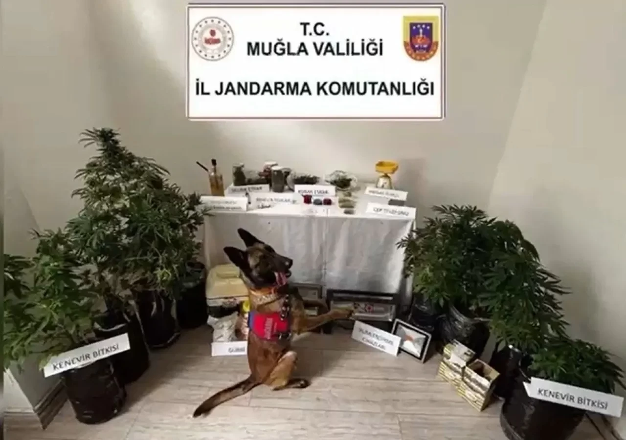 Evini uyuşturucu imalathanesine çeviren şüpheli tutuklandı