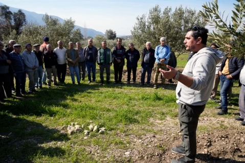 Fethiye ve Seydikemer’de Zeytincilik İçin Bilimsel Atılım