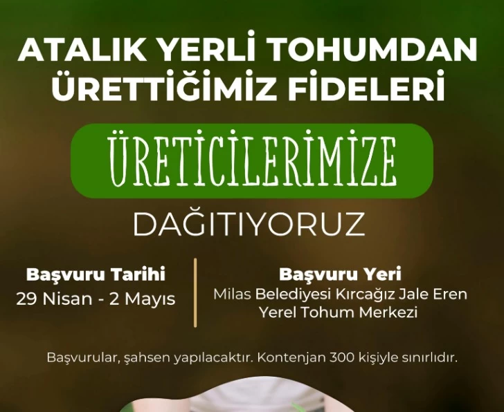 Milas Belediyesinden Ata Tohumlu Sebze Fidesi Dağıtımı
