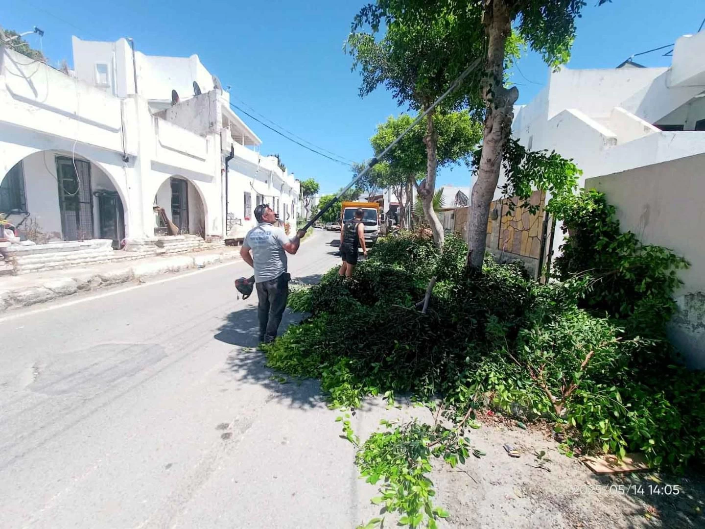 Bodrum Belediyesi Kurban Bayramı Öncesi 56 Mahallede Temizlik ve Budama Seferberliği Başlattı