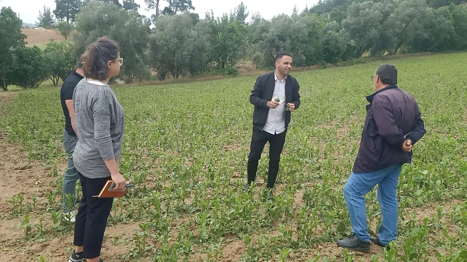 Esençay’da Zarar Gören Çiftçilere Muğla Büyükşehir'den Teknik Destek Başladı