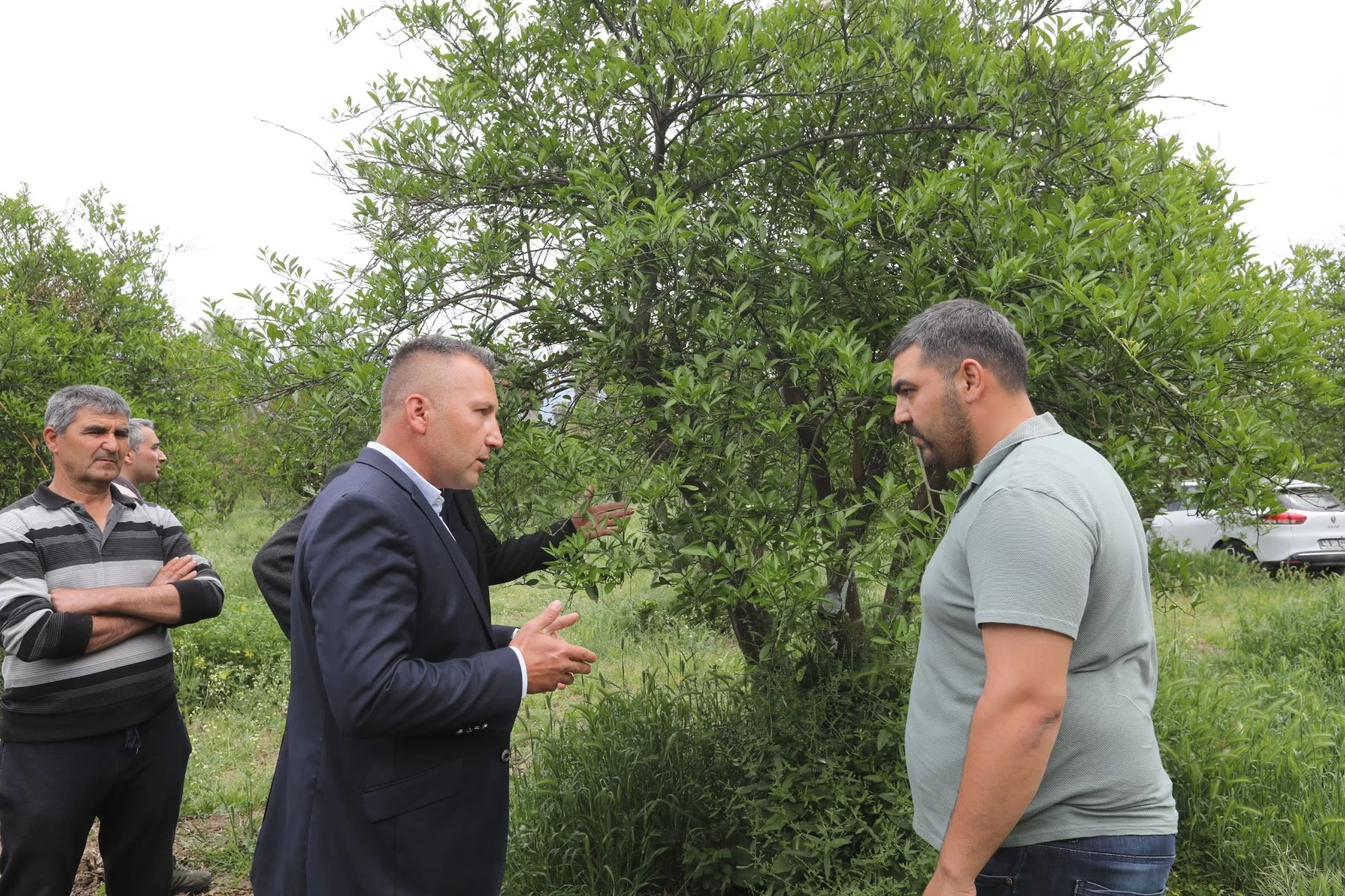 795 Üreticiye 5 Ton Gübre: Muğla'da Don Felaketine Karşı Seferberlik