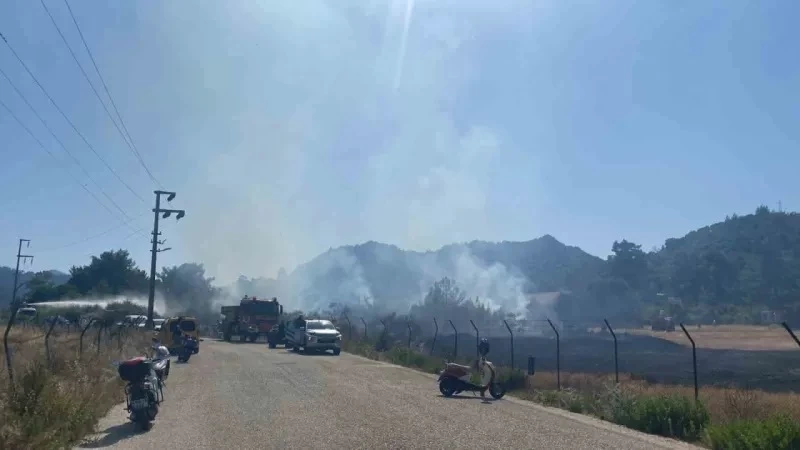 Tekneden Atılan Fişek Ormanı Yaktı! 1 Gözaltı