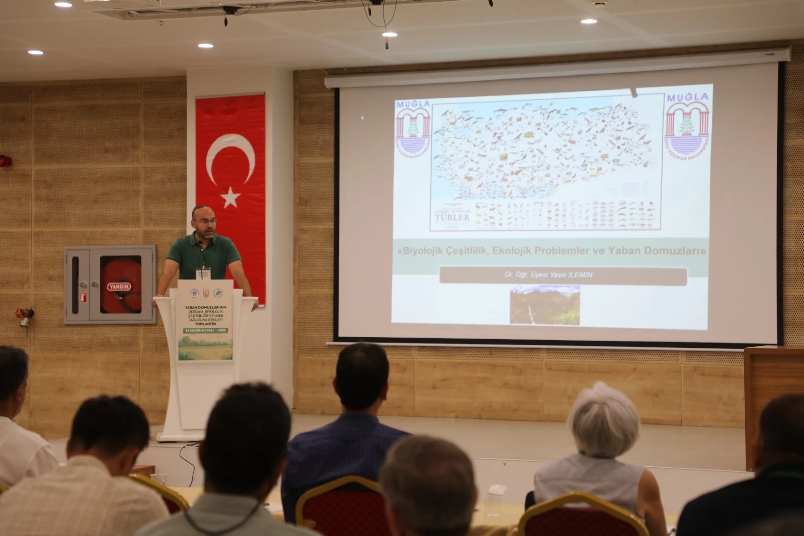 Bozulan Ekosistem, Şehre İnen Domuzlar: Muğla’da Alarm Zilleri