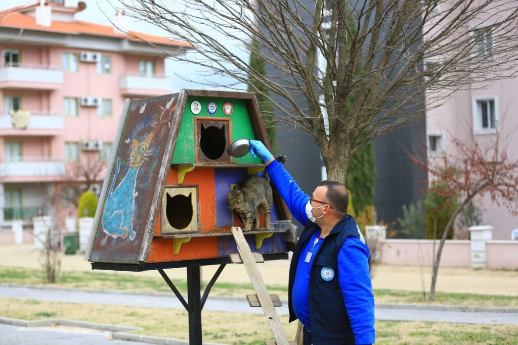 Muğla Üretiyor, Can Dostlar Doyuyor: 10 Milyon TL'lik Tasarruf ve 32 Ton Mama