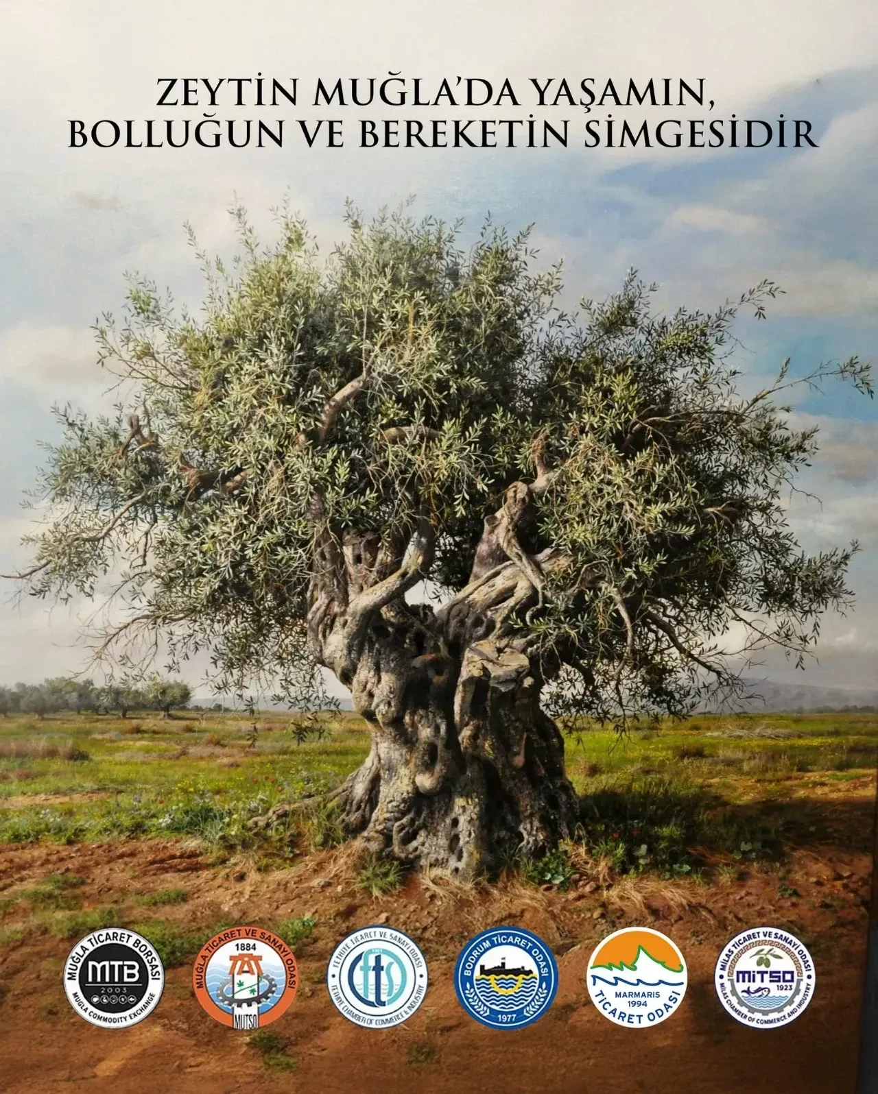 Muğla Odaları ve Borsasından Zeytin Açıklaması: “Zeytin Muğla’da Yaşamın, Bolluğun ve Bereketin Simgesidir”