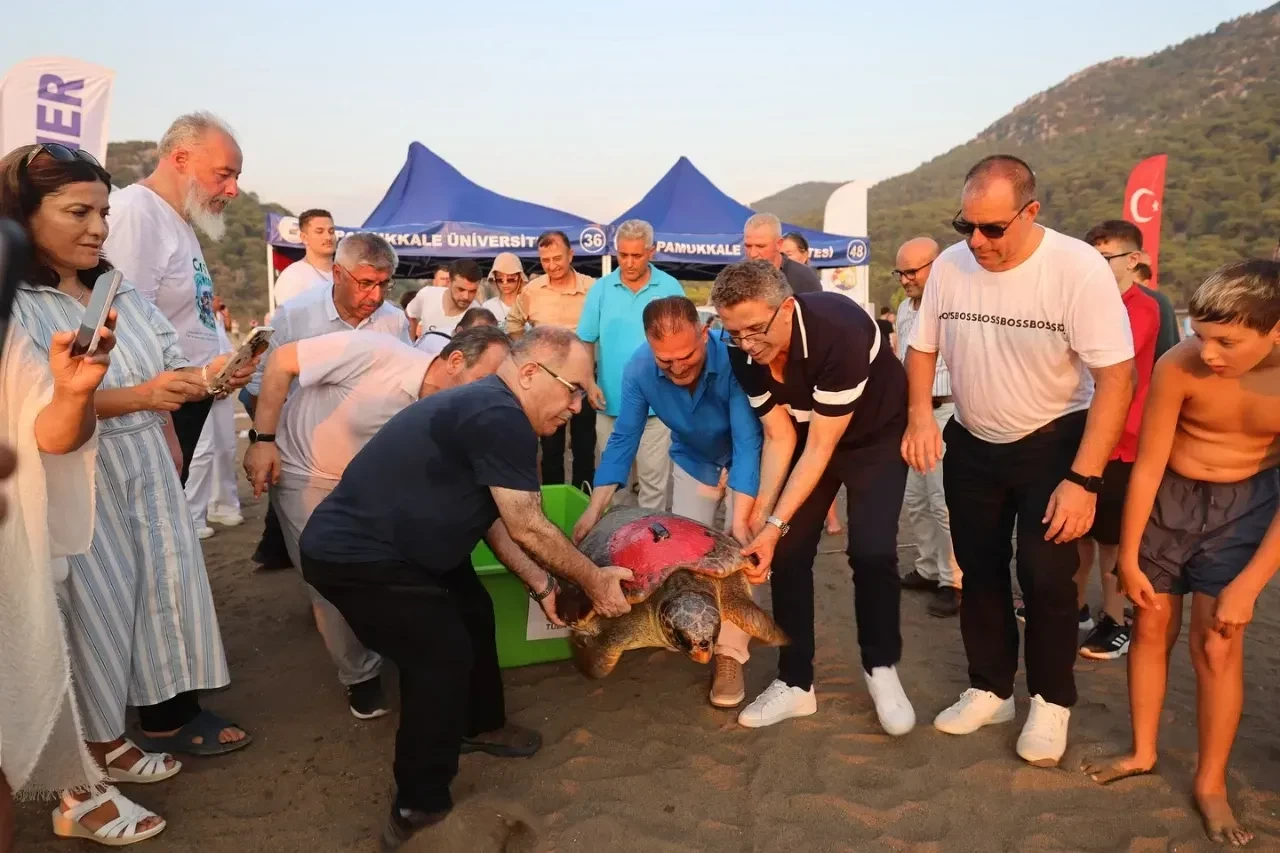Tuba İkinci Kez Dünya Turuna Çıkıyor: Caretta Carettalar Denizle Buluştu