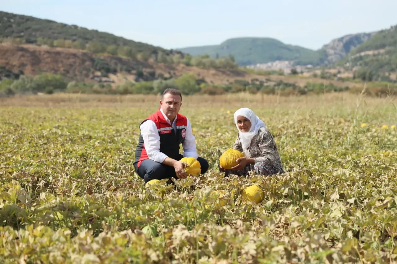 Muğla’nın Yayla Kavunu Coğrafi İşaret Yolunda