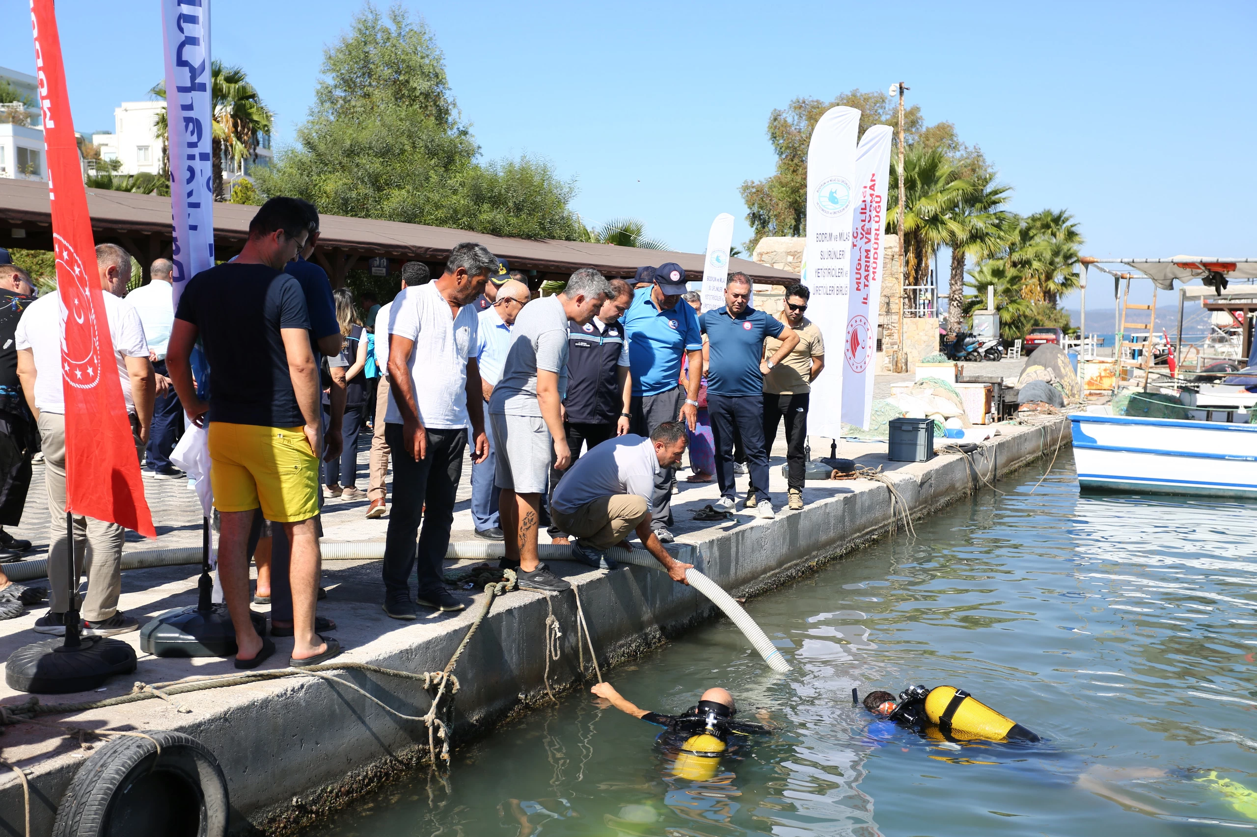 Boğaziçi’ne 160 Bin Balık Salındı