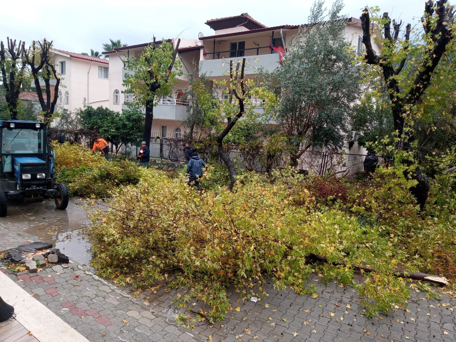 Marmaris’te Yeşil Alanlar Bahara Hazırlanıyor