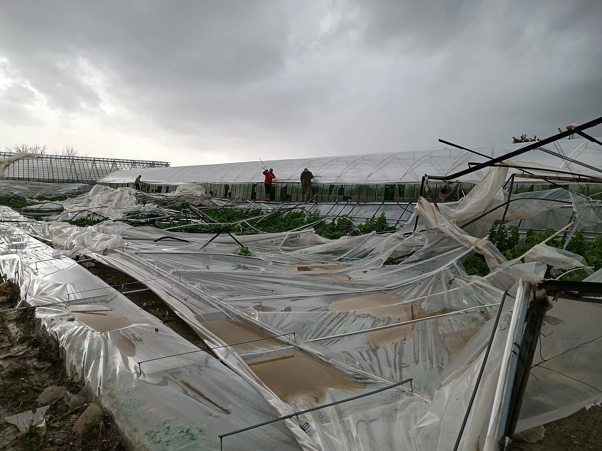 Dolu ve Fırtına Seraları Vurdu, Yetkililer Sahaya İndi