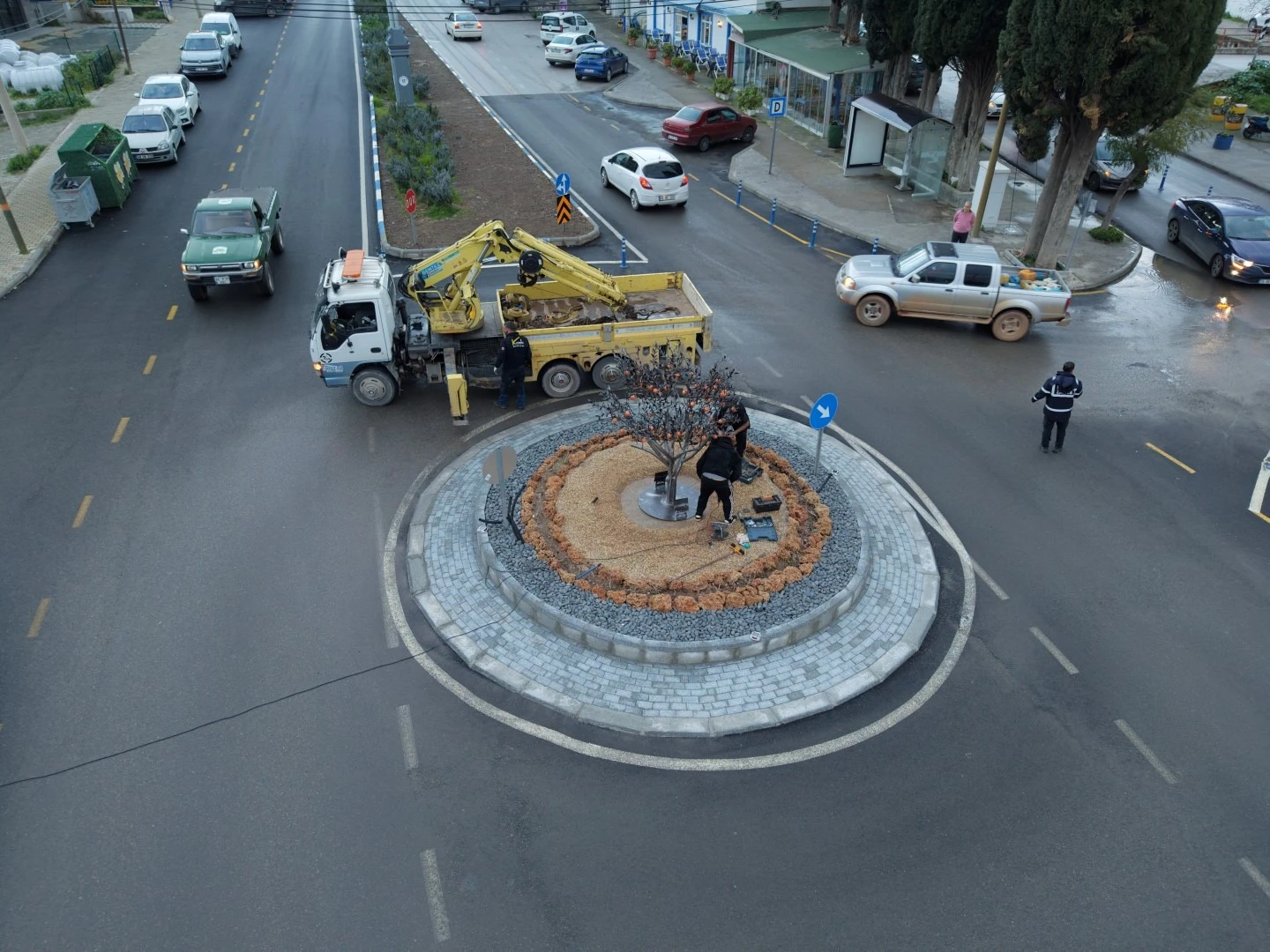 Bodrum’da Trafiği Rahatlatan Dokunuş: Mandalin Ağacı Detayı Dikkat Çekti