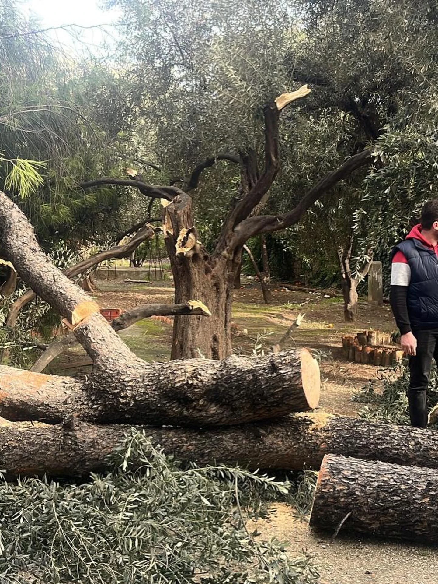 Şiddetli Fırtına Milas’ı Felç Etti! Belediye Anında Devreye Girdi