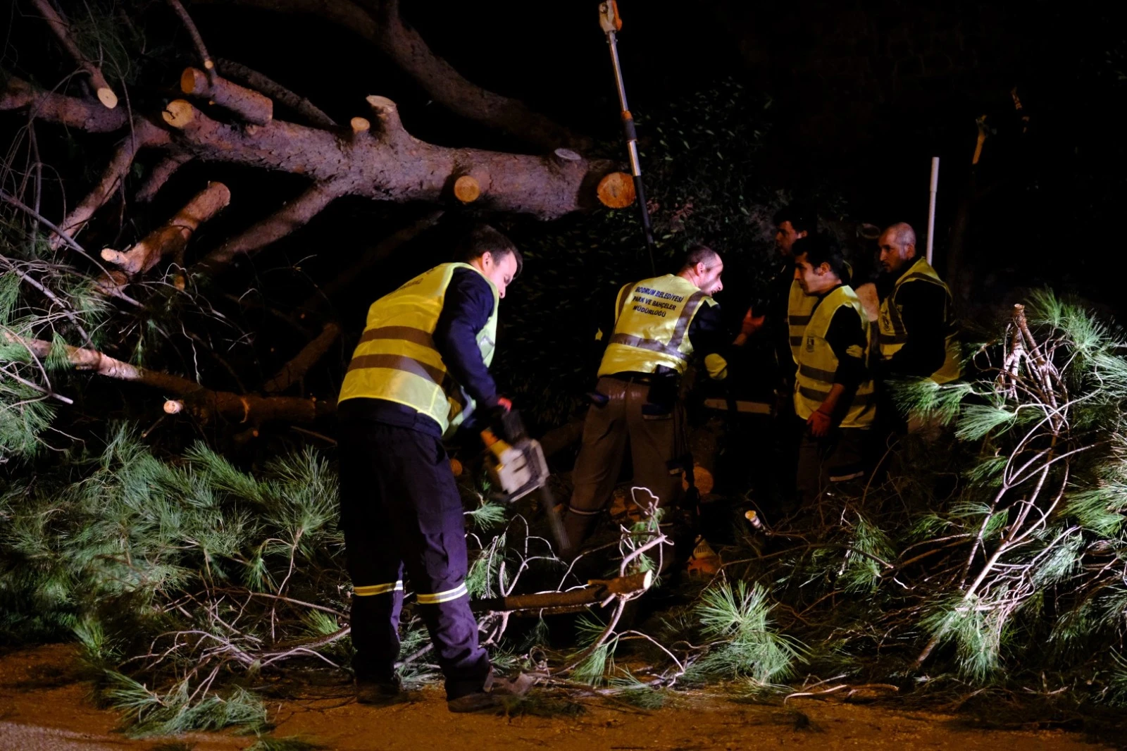 Fırtına Bodrum’u Vurdu: Devrilen Ağaçlar, Kopan Teller, Anında Müdahale