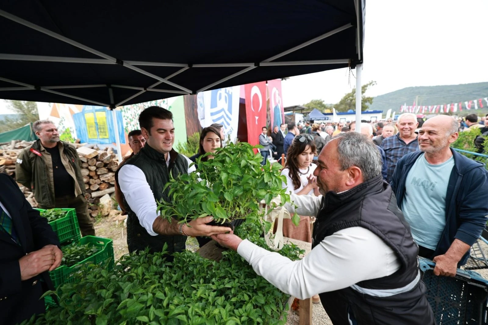 Bodrum’da Üreticiye 350 Bin Yazlık Sebze Fidesi Dağıtıldı