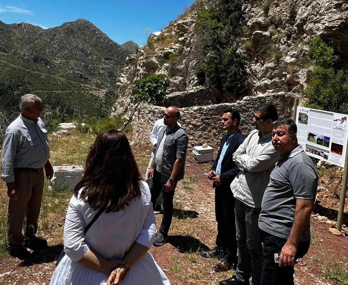 Osmaniye’de Tarihi Arı Avlusu Yerinde İncelendi