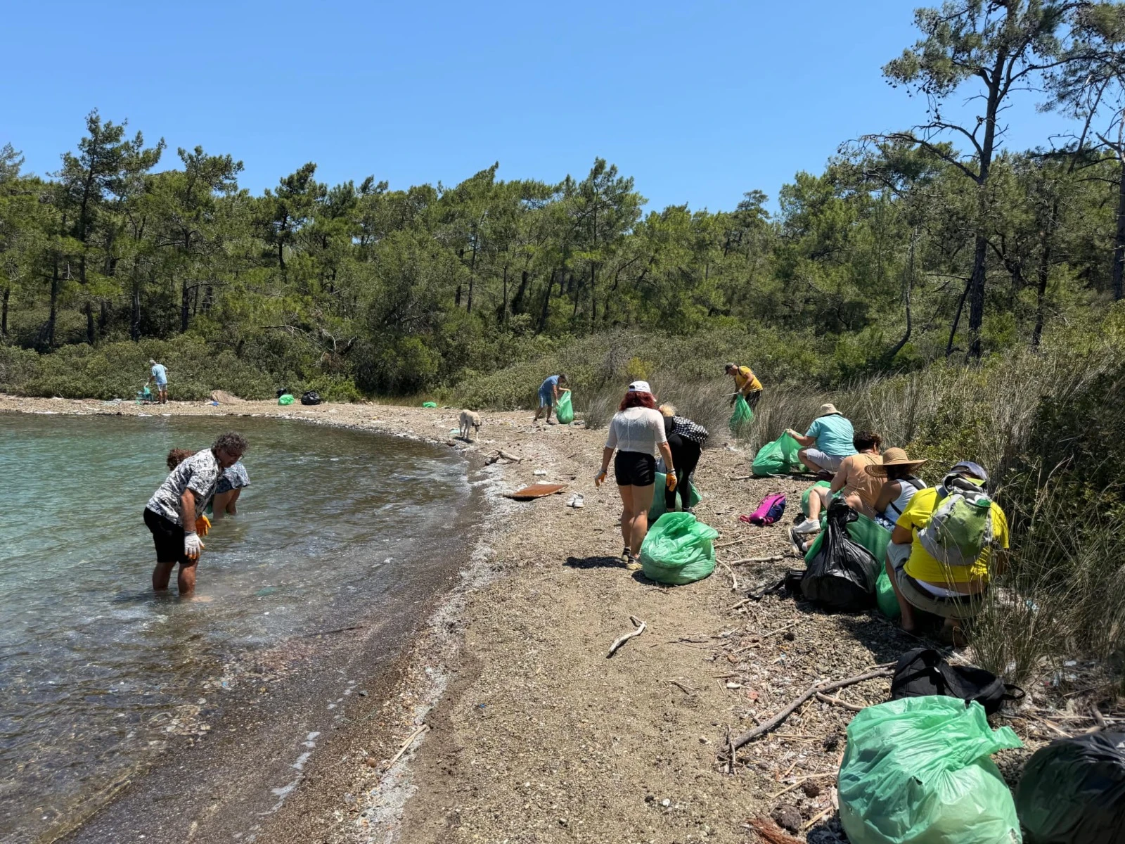 Marmaris’te Doğa İçin El Ele: 42 Torba Atık Toplandı