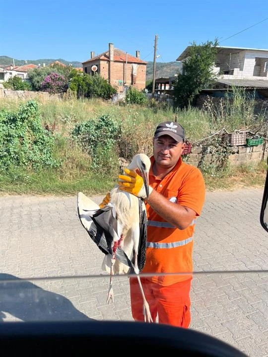 Milas'ta Temizlik İşçisinin Duyarlılığı Yaralı Leyleği Kurtardı