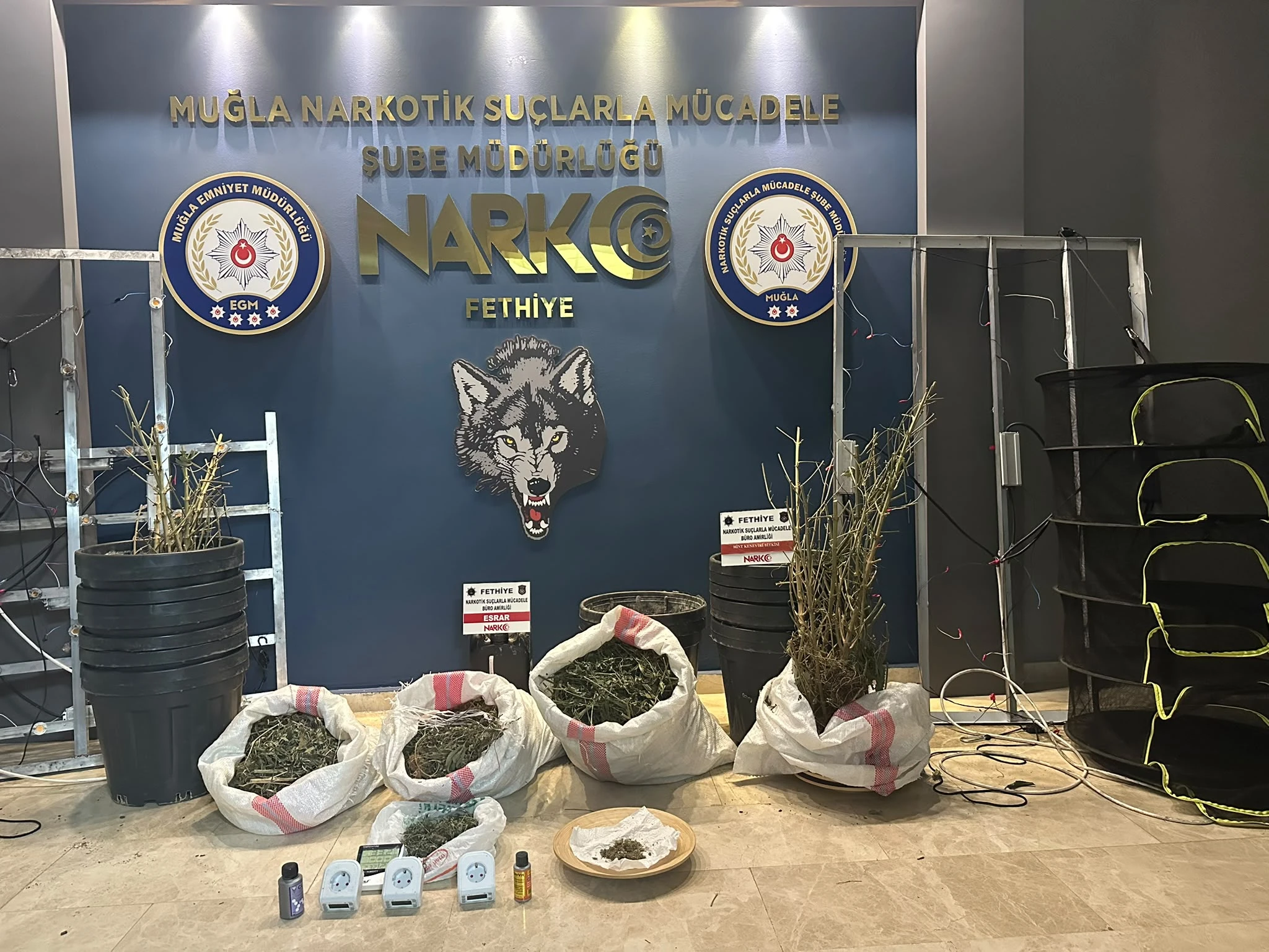 Fethiye'de Lüks Villada Uyuşturucu Baskını: 1 Tutuklama