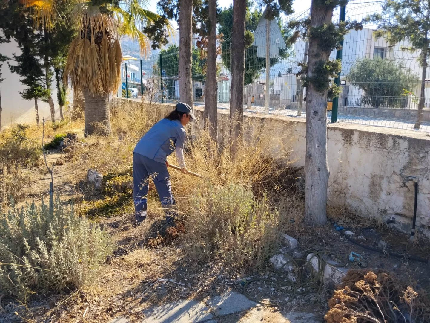 Bodrum’da 400 Bini Aştı! Ekipler Durmadan Çalışıyor